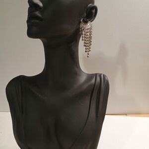 Elegant Silver Dangle Earrings
